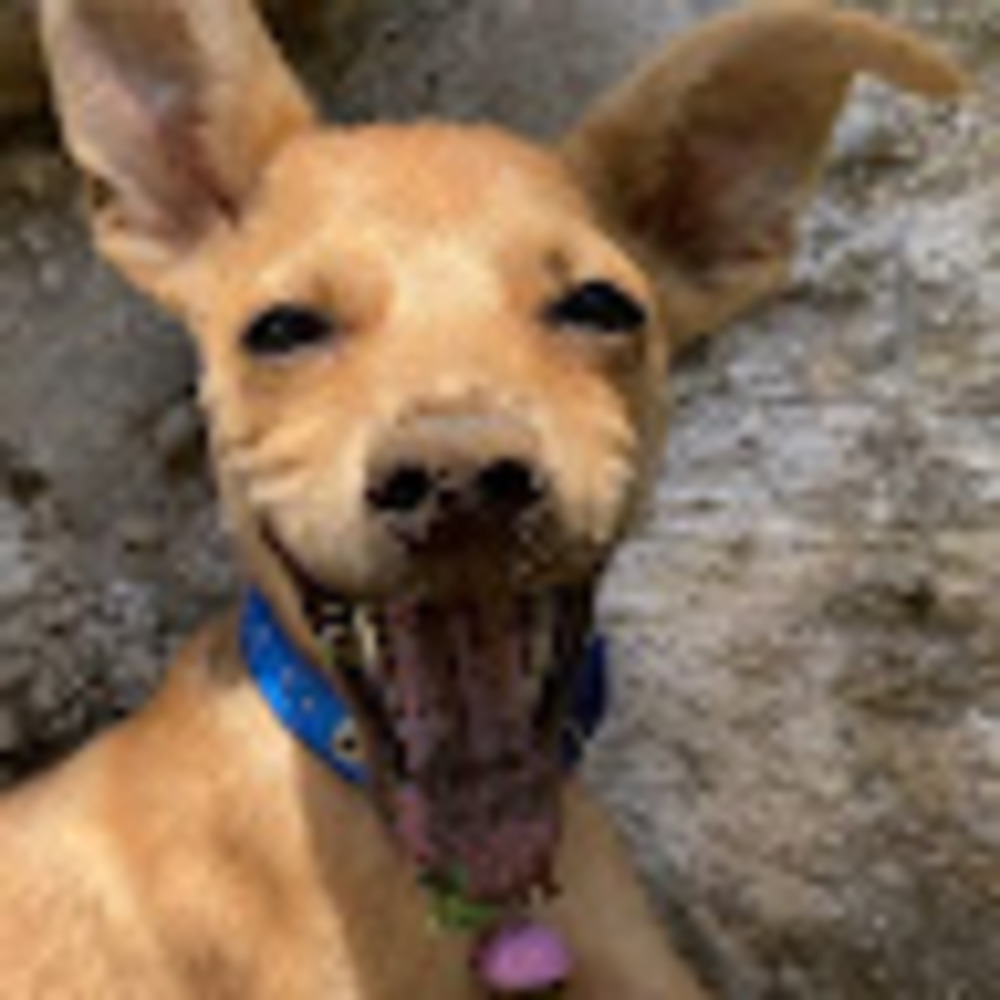 Meet your Posher, Charlize